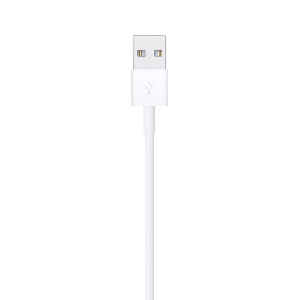 Lightning-USB 케이블(1m)
