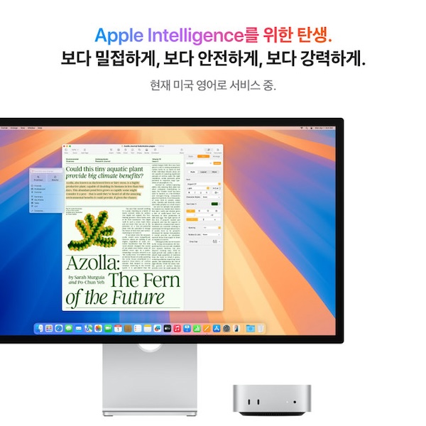 M4 / 10코어 CPU / 10코어 GPU / 16GB 메모리 / 256GB SSD