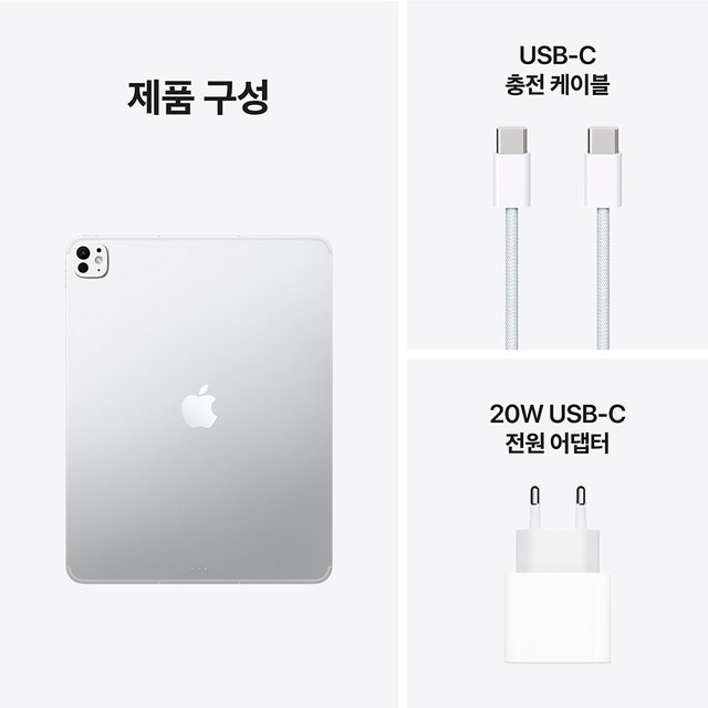 실버 / M5 / Wi-Fi / 256GB SSD / 스탠다드 글래스